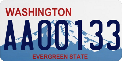 WA license plate AAO0133