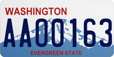 WA license plate AAO0163