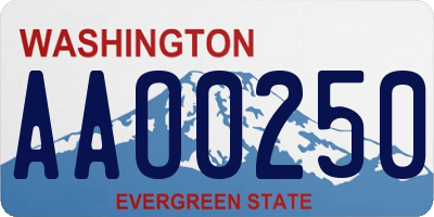 WA license plate AAO0250