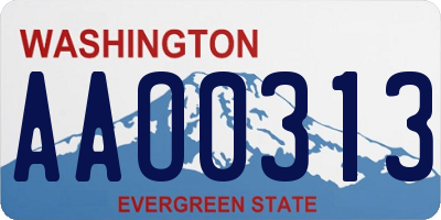 WA license plate AAO0313