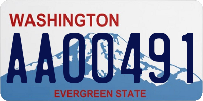 WA license plate AAO0491