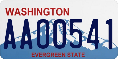 WA license plate AAO0541