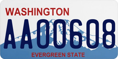 WA license plate AAO0608