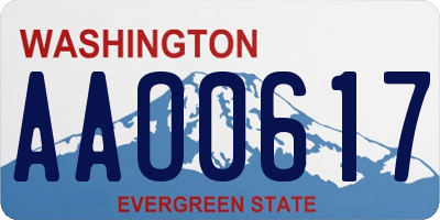 WA license plate AAO0617