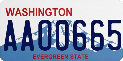 WA license plate AAO0665