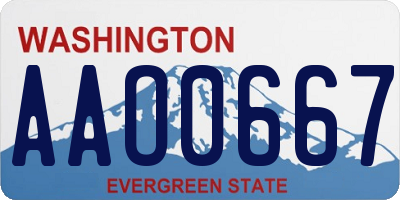 WA license plate AAO0667