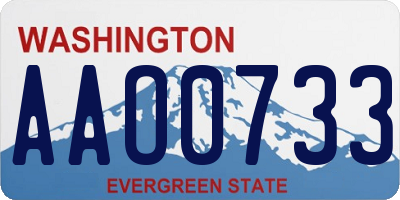WA license plate AAO0733