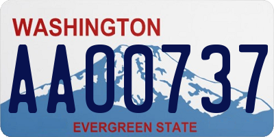 WA license plate AAO0737