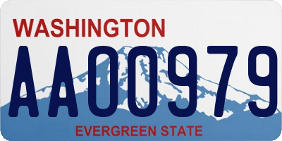 WA license plate AAO0979