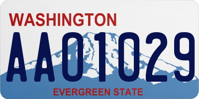 WA license plate AAO1029