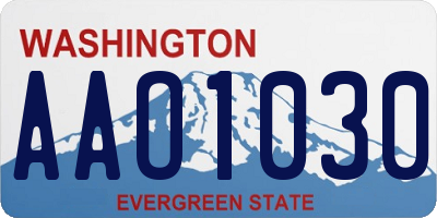 WA license plate AAO1030