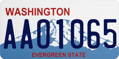 WA license plate AAO1065