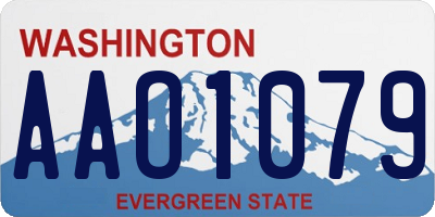 WA license plate AAO1079