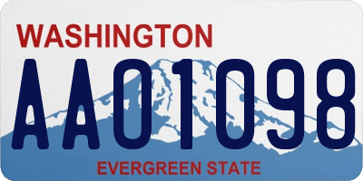 WA license plate AAO1098