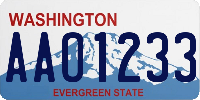 WA license plate AAO1233