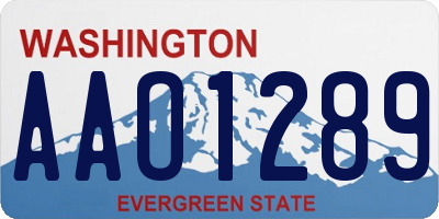 WA license plate AAO1289