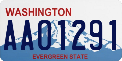 WA license plate AAO1291