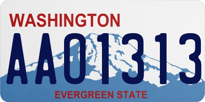 WA license plate AAO1313