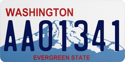 WA license plate AAO1341