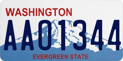 WA license plate AAO1344
