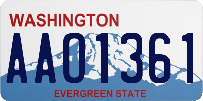 WA license plate AAO1361
