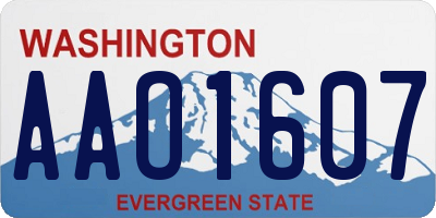 WA license plate AAO1607