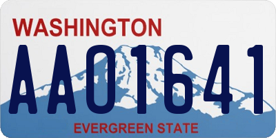 WA license plate AAO1641