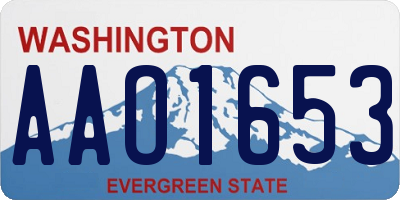WA license plate AAO1653