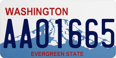 WA license plate AAO1665