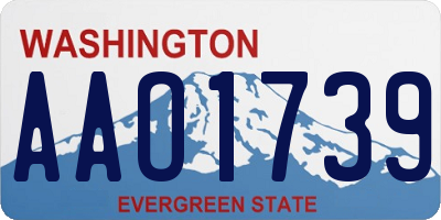 WA license plate AAO1739