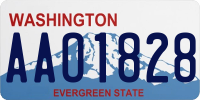 WA license plate AAO1828