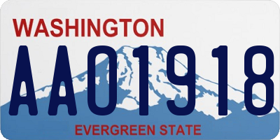 WA license plate AAO1918