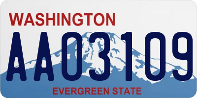 WA license plate AAO3109