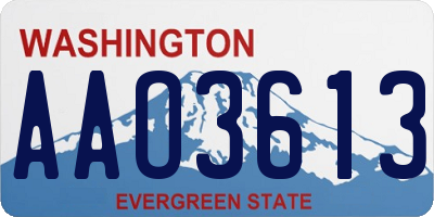WA license plate AAO3613