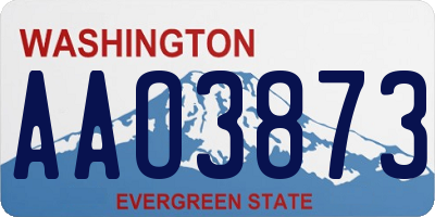 WA license plate AAO3873
