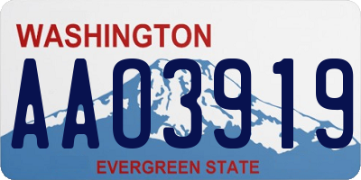 WA license plate AAO3919
