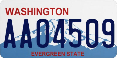 WA license plate AAO4509