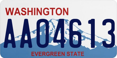 WA license plate AAO4613