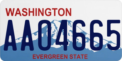 WA license plate AAO4665