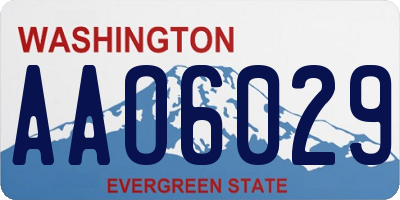 WA license plate AAO6029