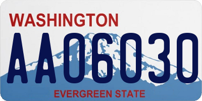 WA license plate AAO6030