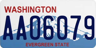 WA license plate AAO6079