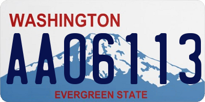 WA license plate AAO6113