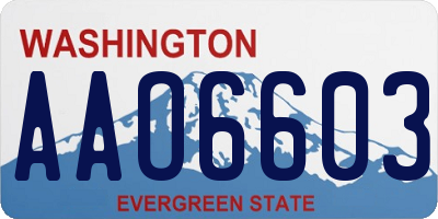 WA license plate AAO6603