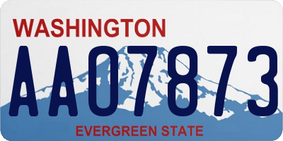 WA license plate AAO7873