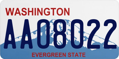 WA license plate AAO8022