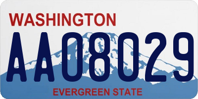 WA license plate AAO8029