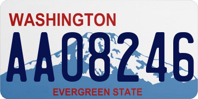 WA license plate AAO8246