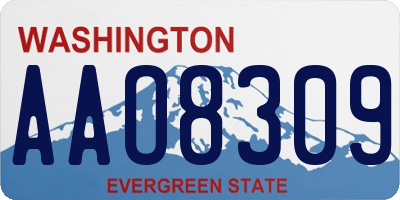 WA license plate AAO8309