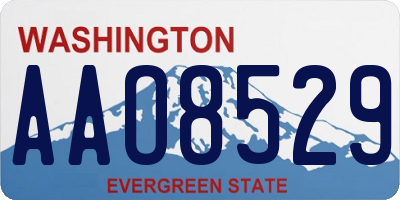 WA license plate AAO8529